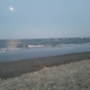 Meet your Posher, Margaret